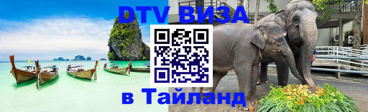 DTV (ДТВ) visa Таиланд Калининград 